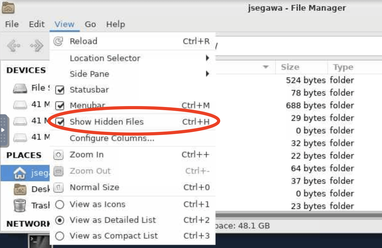 fasse show hidden files menu